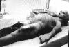 enter alien autopsy